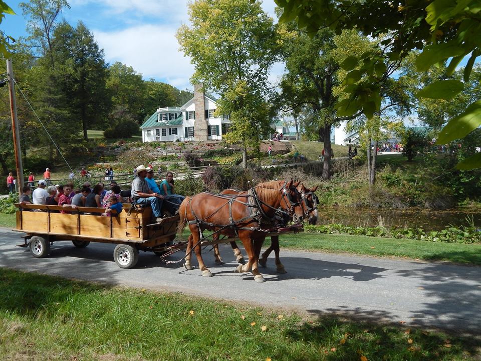 Horse-drawn wagon carrying visitors at Malabar Farm Heritage Days.