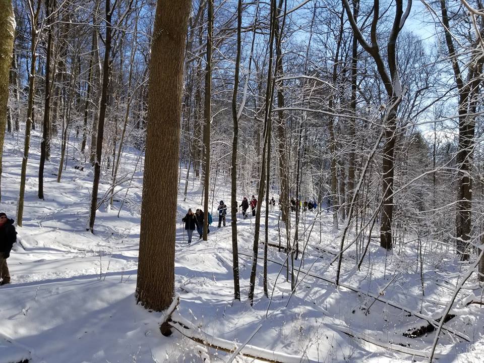 Hikers walking in line on a snowy wooded trail.
